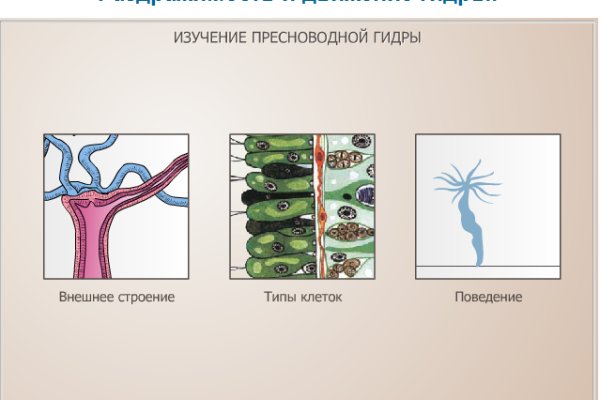 Кракен маркет даркнет только через торг