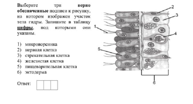 Kraken 13at зеркало